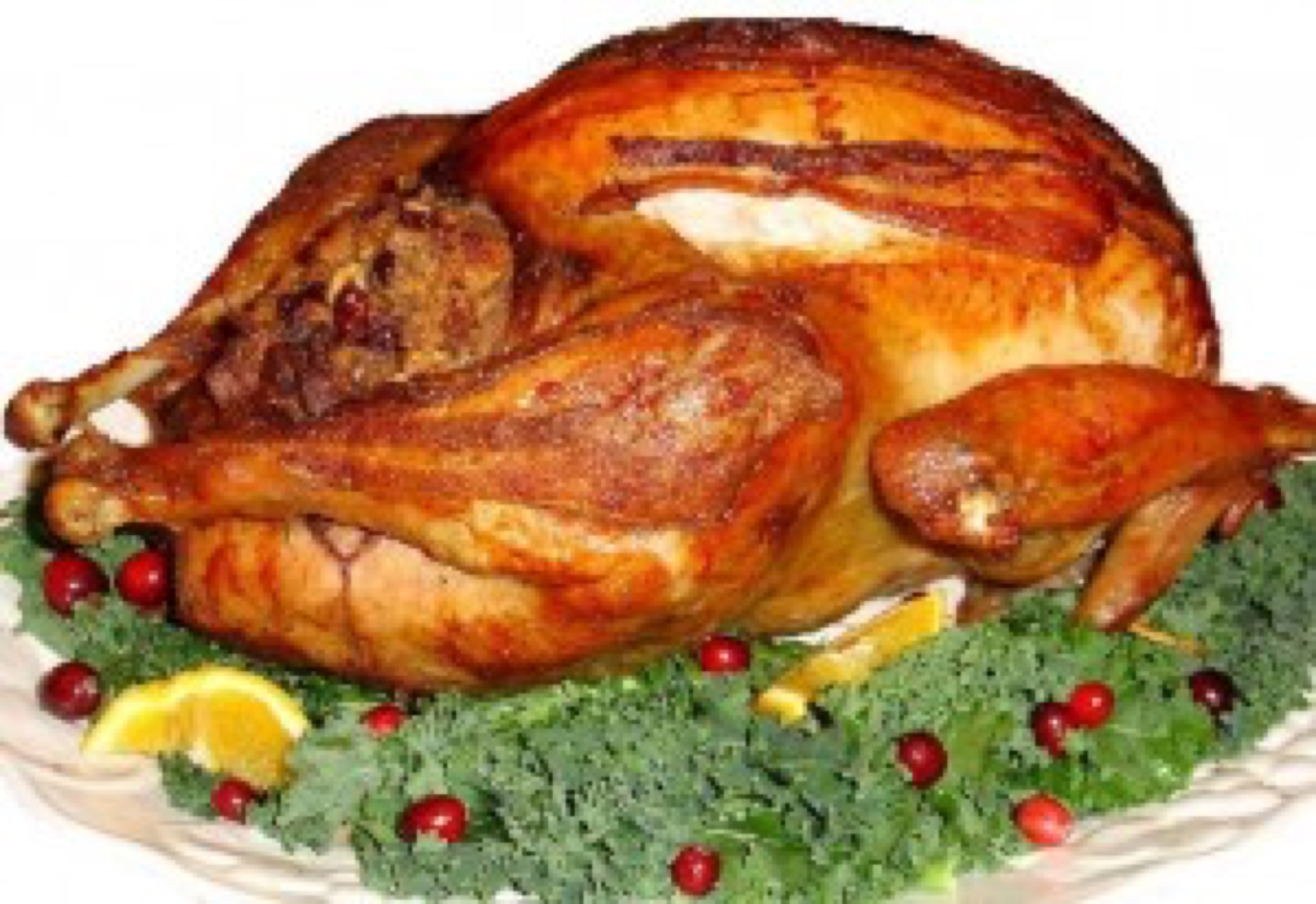 blog image 3 turkey width=