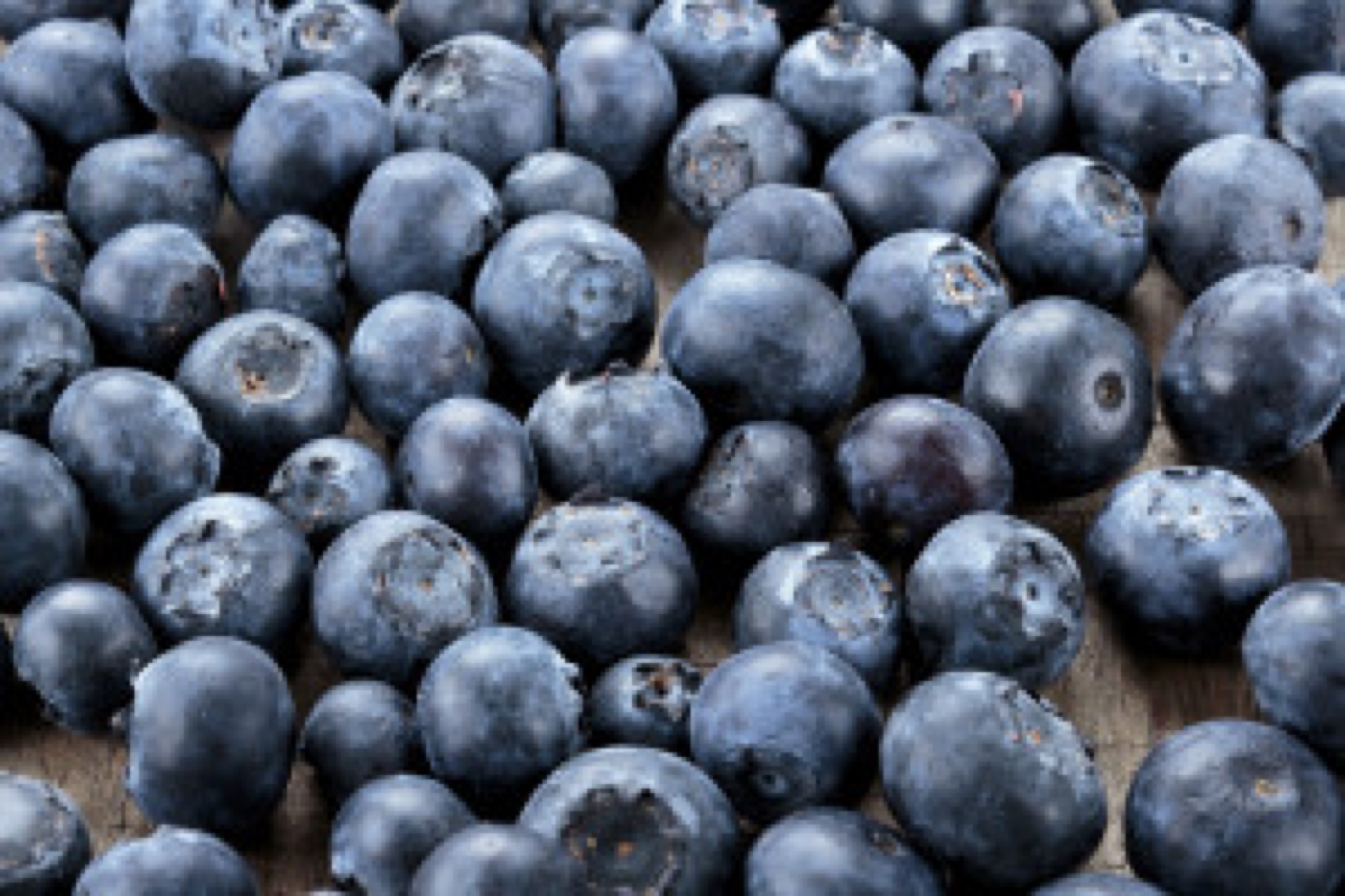 Blueberries on wooden table