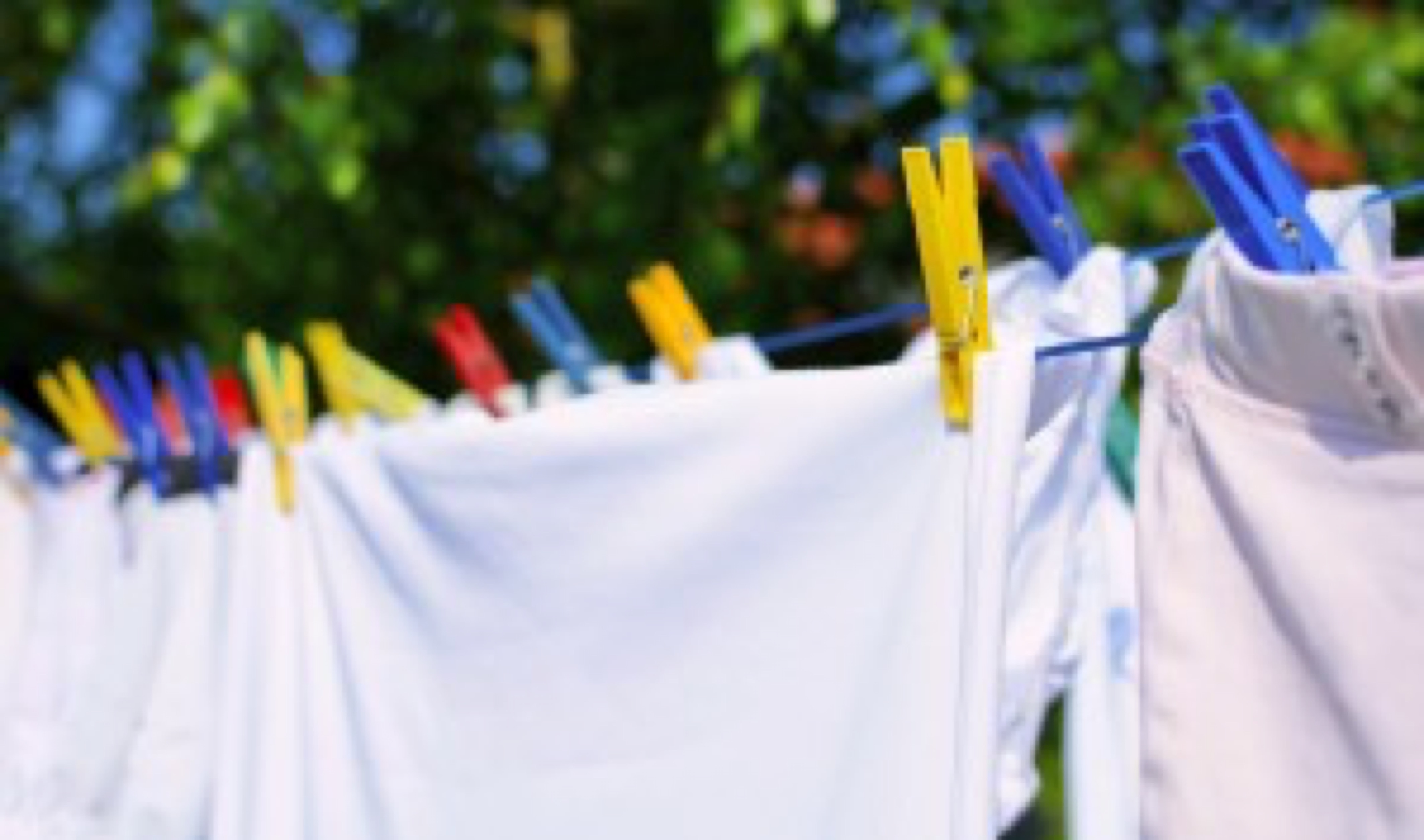 Fresh white laundry hang on the clothesline with colorful pegs.