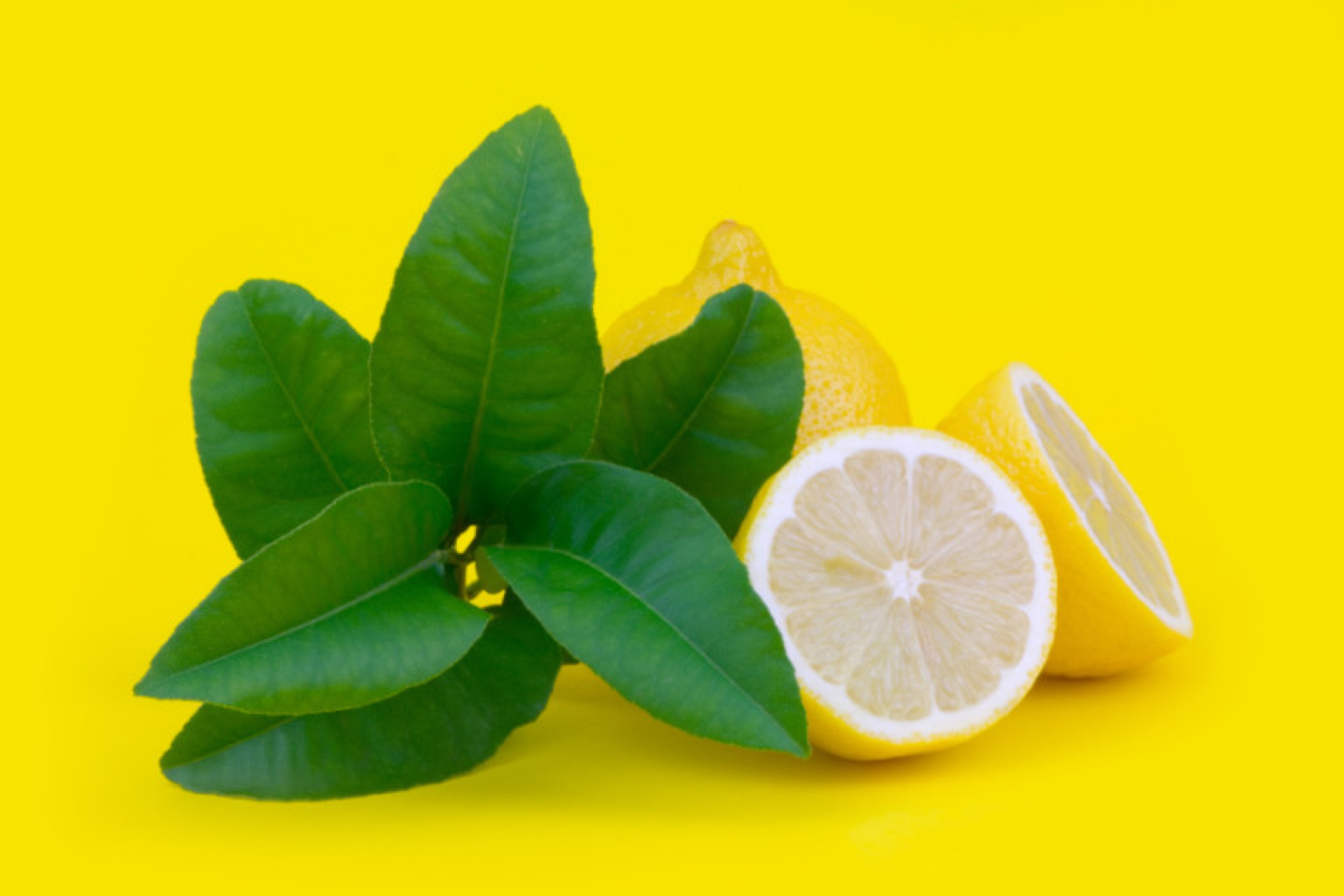 lemons
