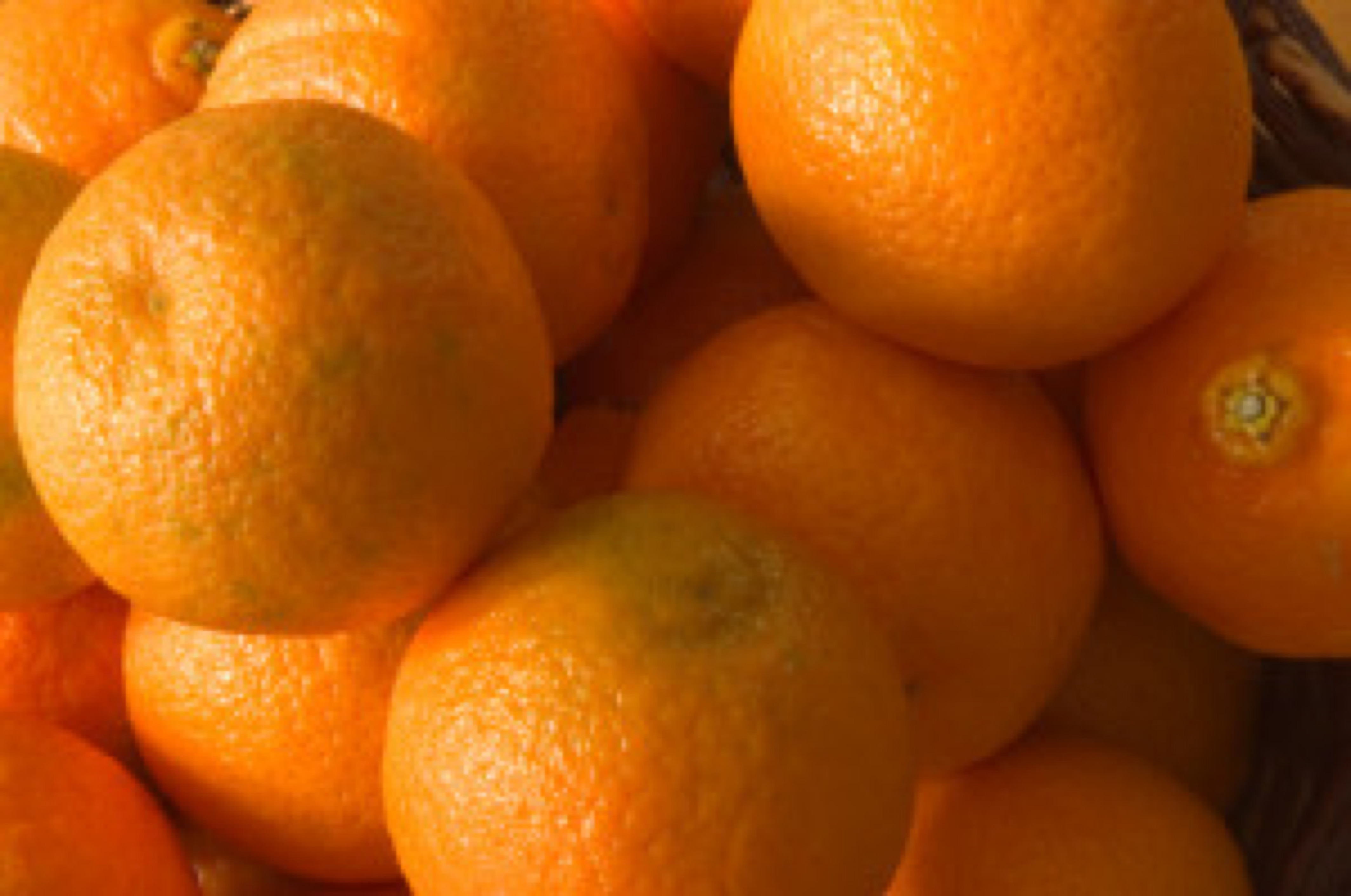 oranges - vitamin C