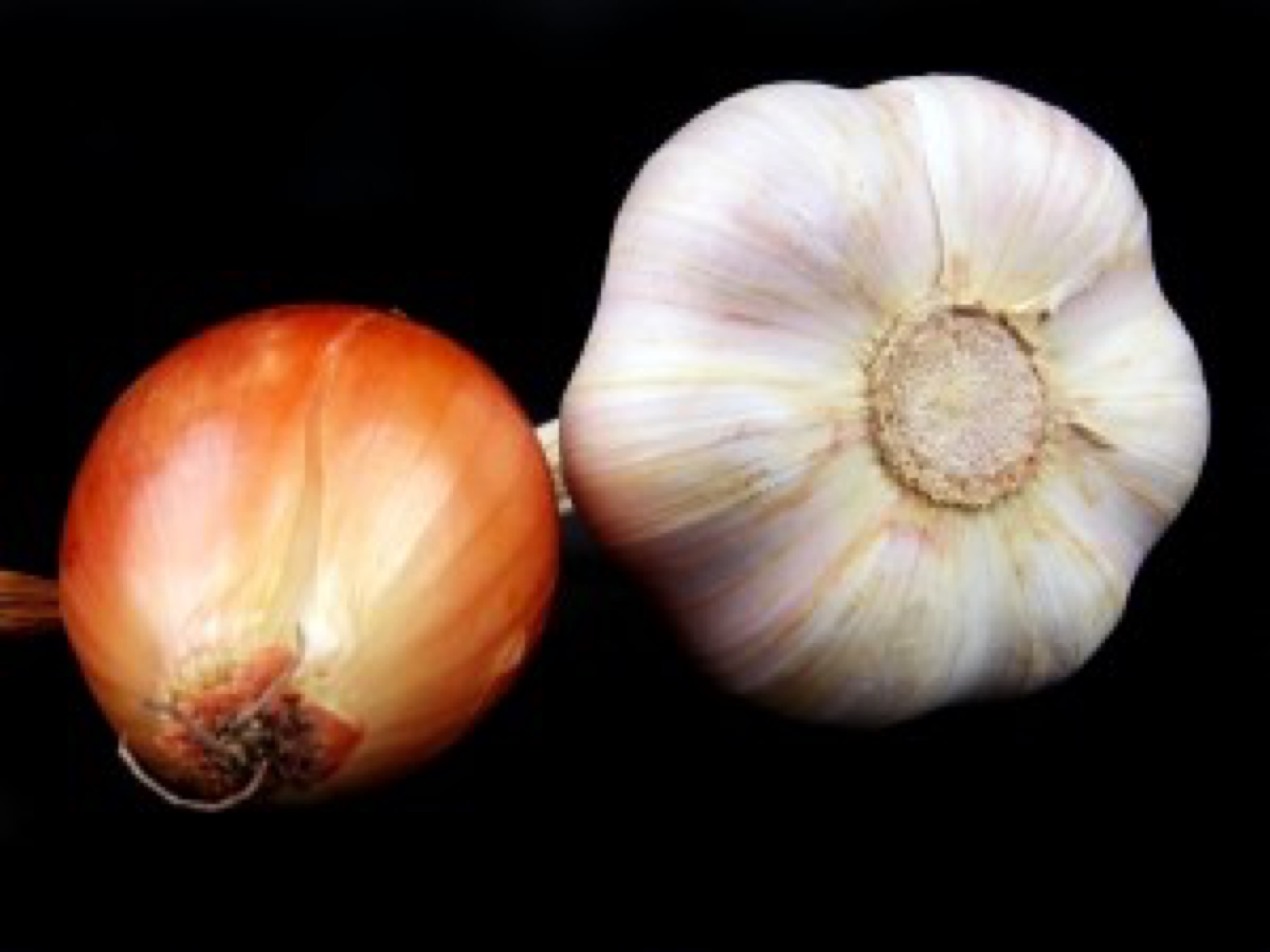 blog image - garlic width=