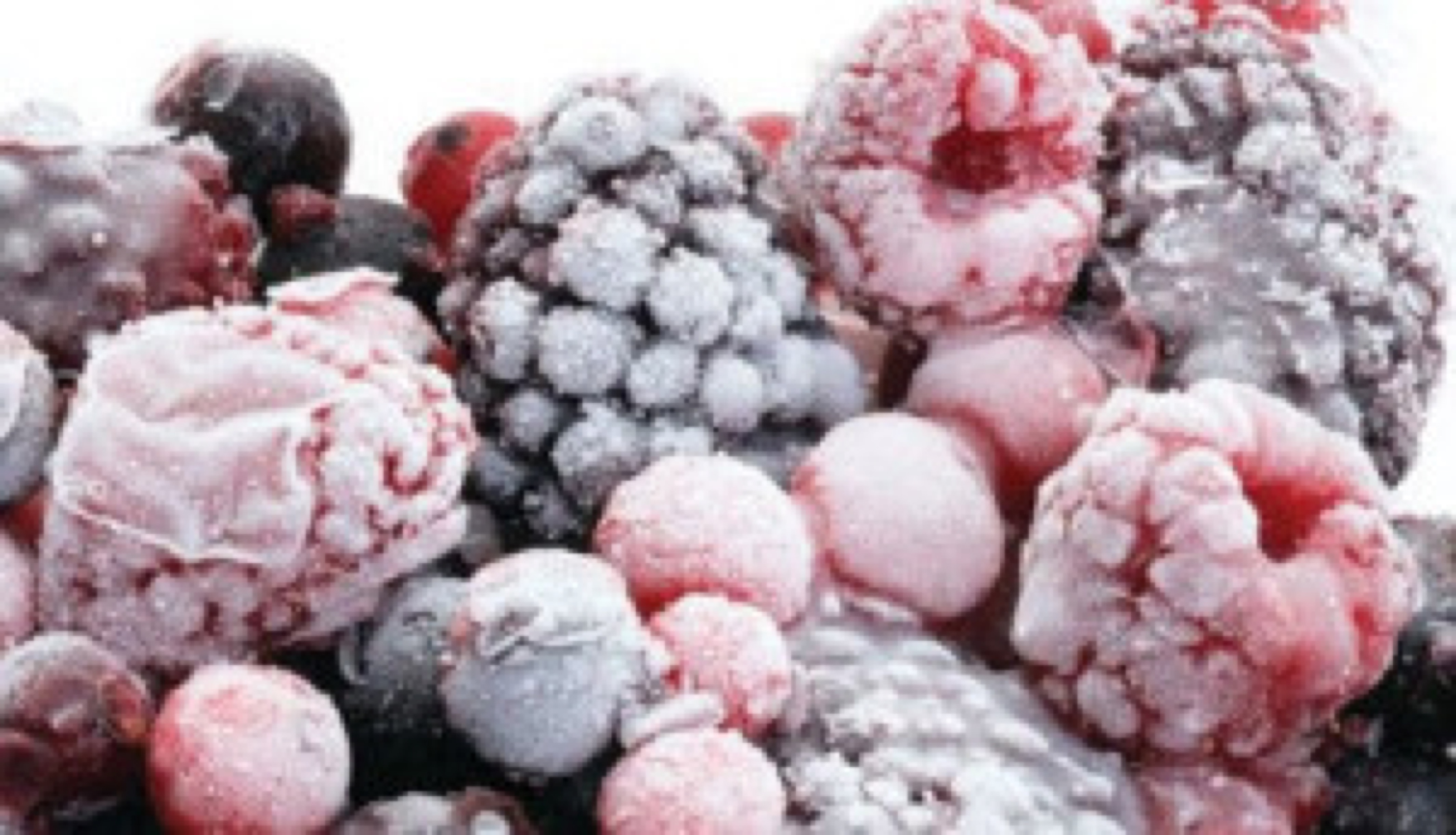 blog image - frozen food small width=