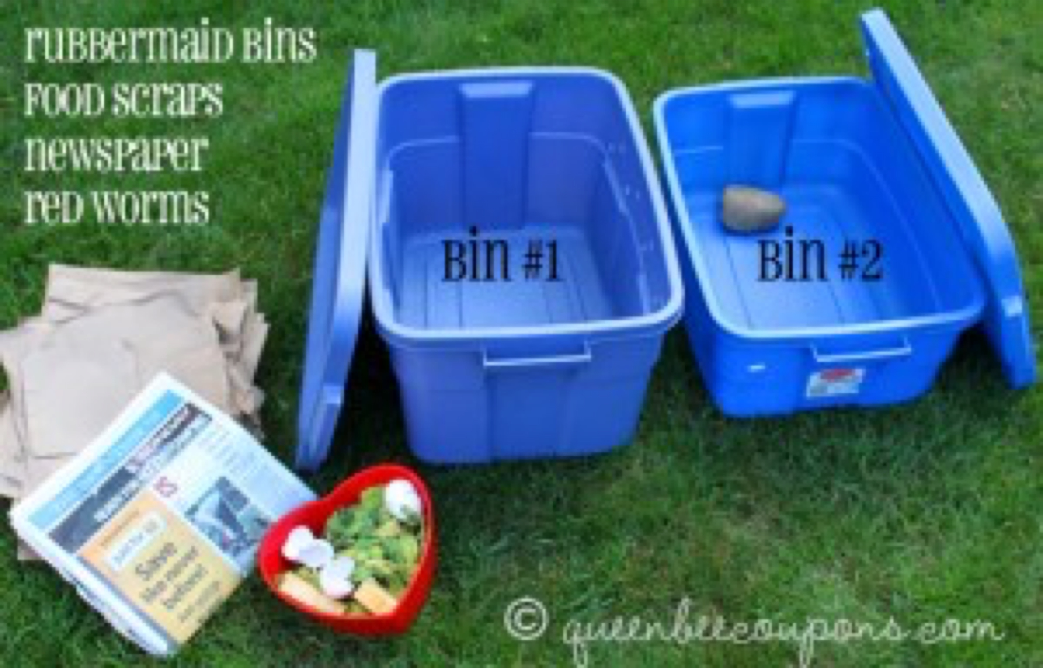 supplies-for-worm-bins