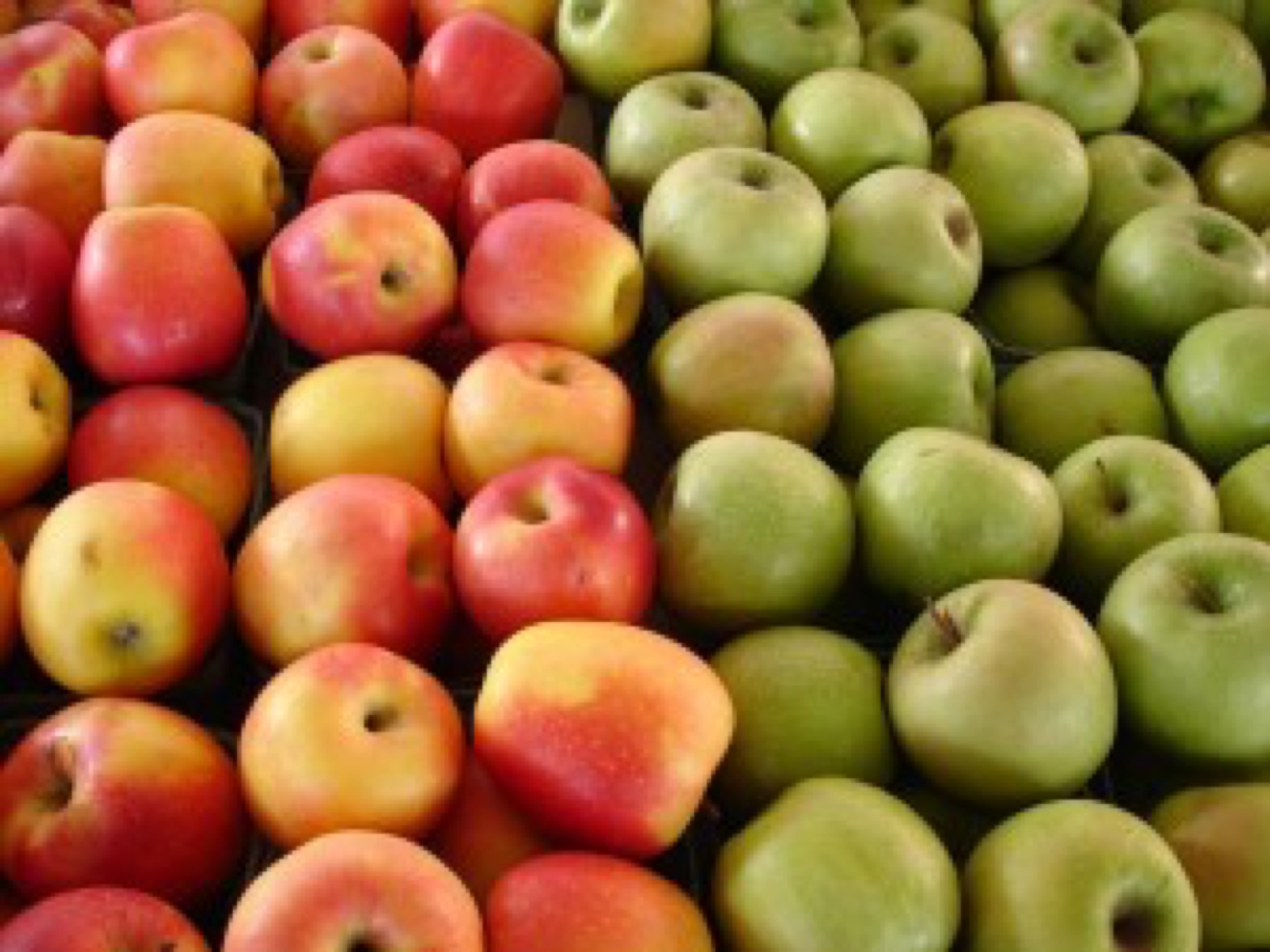 blog image - apples