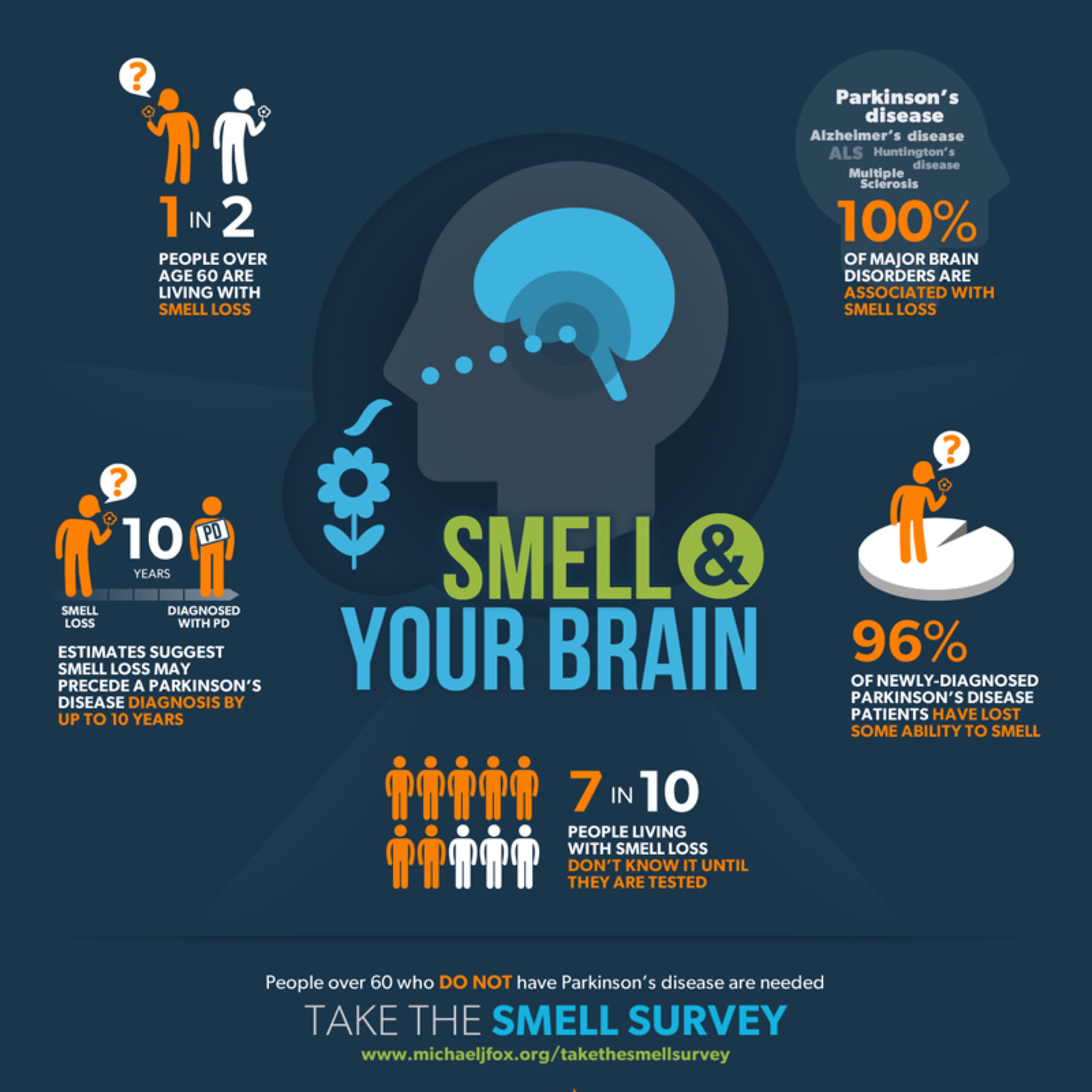 800x800MJFF- Smell and Your Brain Infographic 7-23-13 (5)