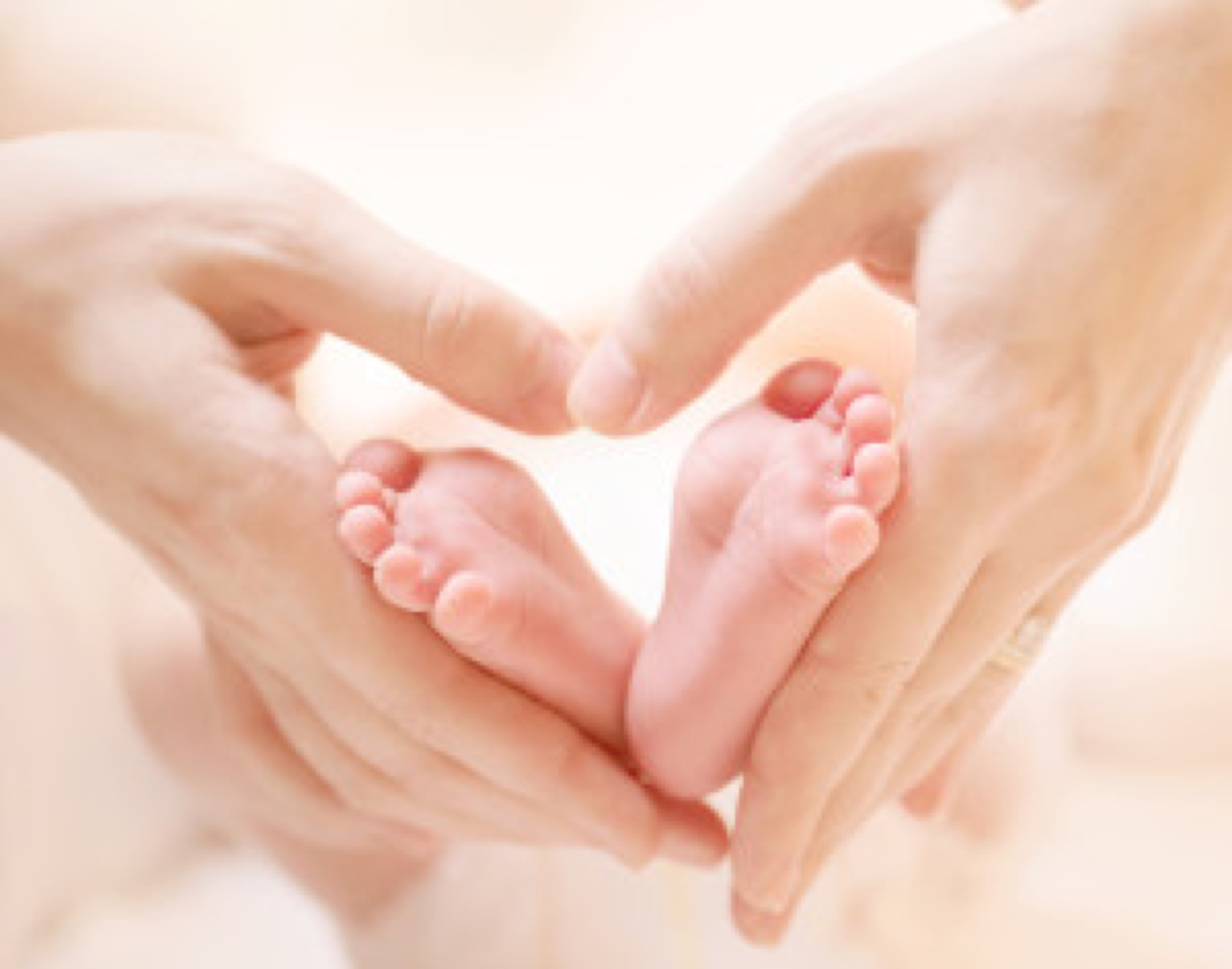 Tiny Newborn Baby's feet on female Heart Shaped hands closeup