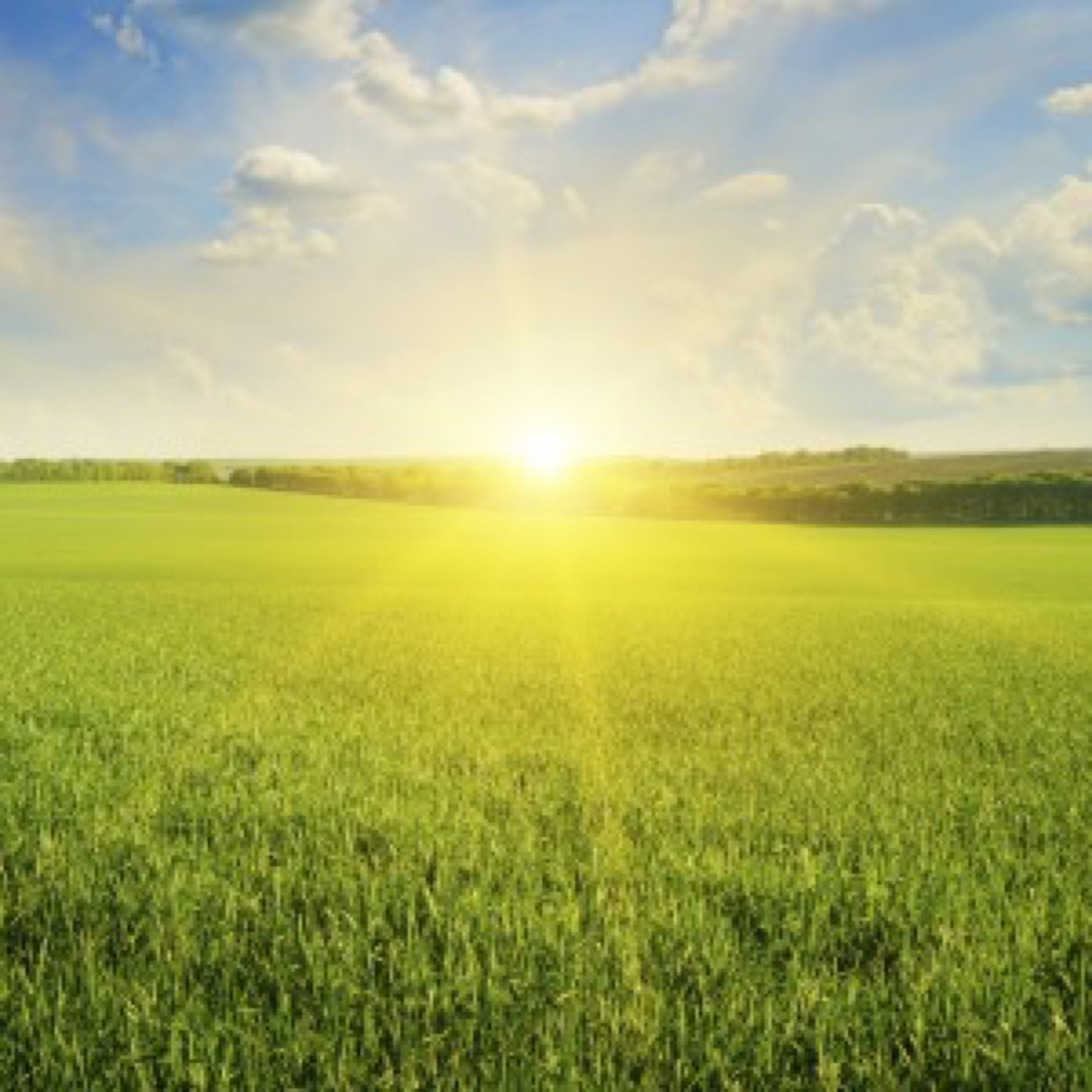 field, sunrise and blue sky