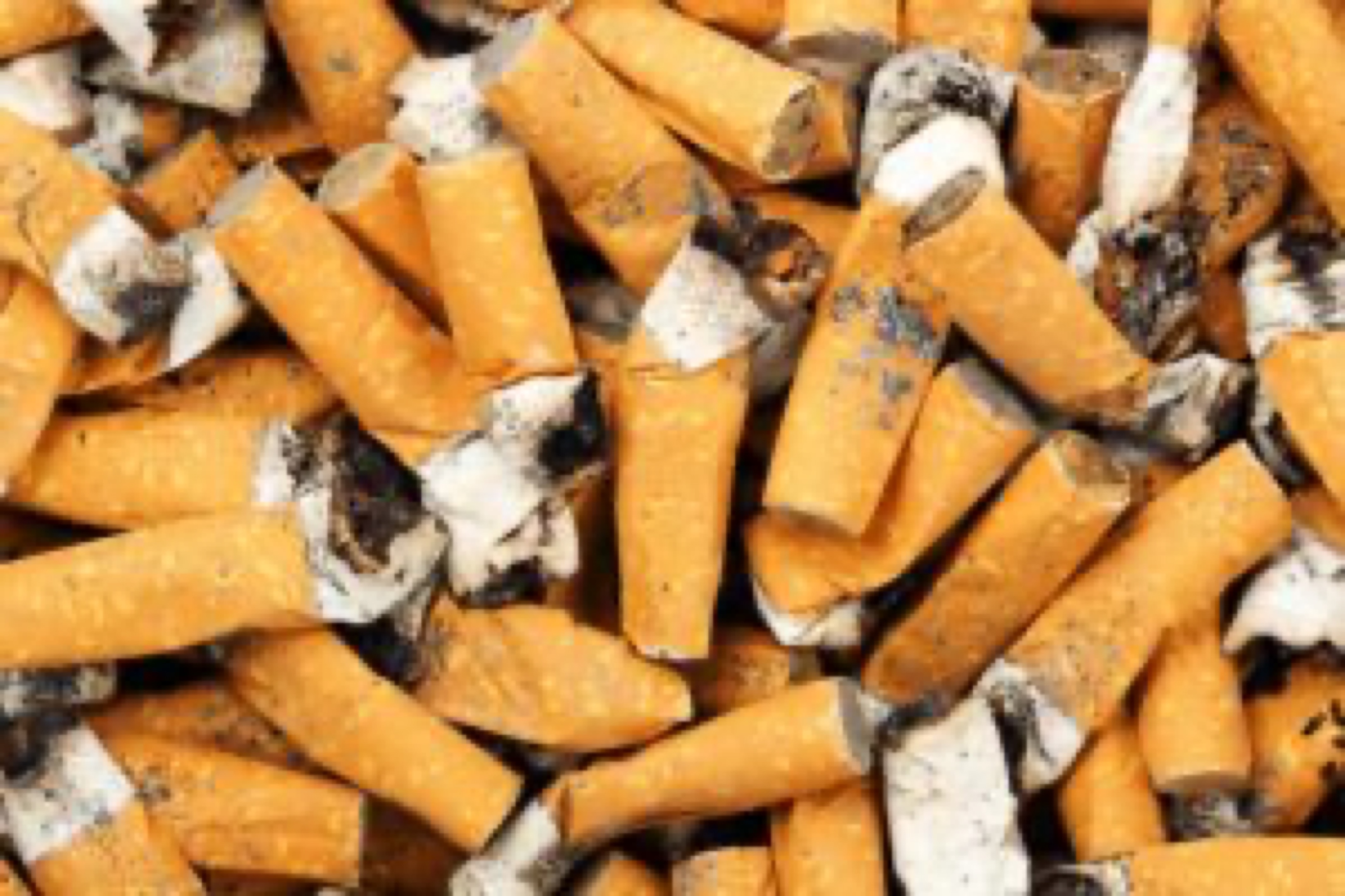 Top Ten Reasons Why Cigarette Butts Are So Toxic To The Environment